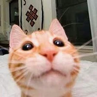 Me
