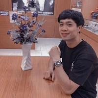 Công Phượng ( công túa )