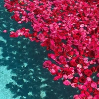 anh em Hayuka/Hanagaki