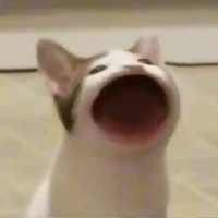 Thằng Đạo diễn🤡