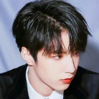 Lưu Diệu Văn
