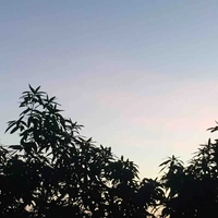 Mọi người