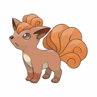 Rokon