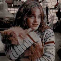 Hermione Granger - Wendy
