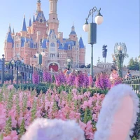 Con Rùa Lười Biếng