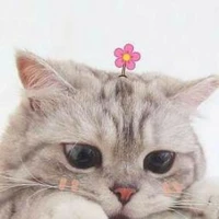 tg ko bik viết truyện