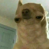 Tác giã sồu đời :(