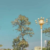 Mọi người