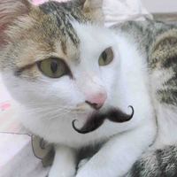Miu