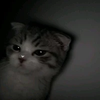con tác giả thỉu năng nè☺💔