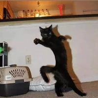 tác giả thân iu:>>