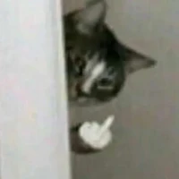 cô giáo :33