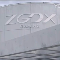 ZGDX