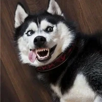 Phép thuật win en tra tít (tác giả)