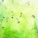 Đội 7