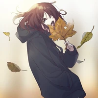 Usagi Musami