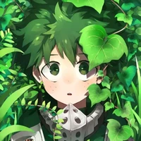 Midoriya izuku