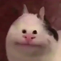 tôi= hiềb