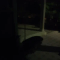 N/v