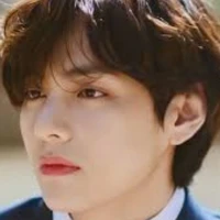 Kim taehyung (V)