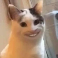 Con tác giả lười biếng