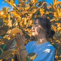 Ánh Dương