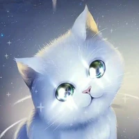 Karo - Pet Yuki