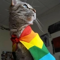 ko có tên đâu đừng nhìn_tg