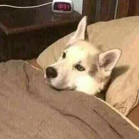 dẫn truyện trong truyền thuyết nè:))