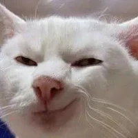 tác giả mất não