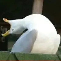 Quái vật