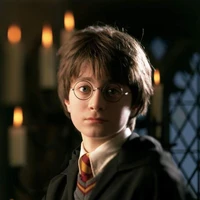 Harry Potter (nam 9)