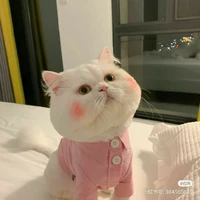 Kon tác giả