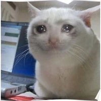 hết flop thì đổi tên