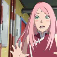 Sakura 
