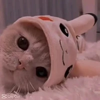 con t/g bị thỉu năng thiếu muối 😑