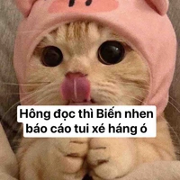 Rose ( người giải thích và nói thêm) 