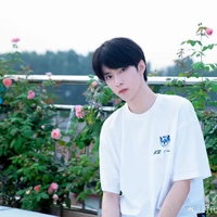 Mã *Lưu Diệu Văn