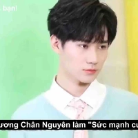 Trương Chân Nguyên 