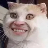 tác giả ngu trốn lười