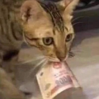 Mai Ngọc Châu con đỗ nghèo khỉ