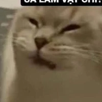 Bàng Thị Thùy Giang cô gái lực điền