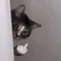 Mai Thảo Nguyên bà tổ láo toét