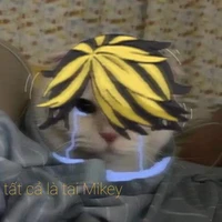 kazutora