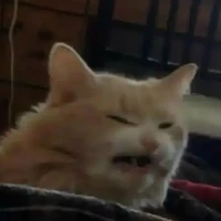 tác giả :3