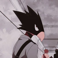 Tokoyami Fumikage