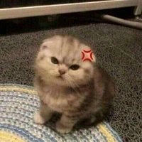 Tác Giả Bé Bỏng ಡ ͜ ʖ ಡ