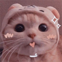 shiro