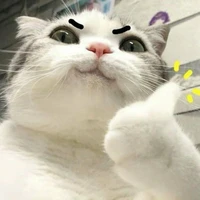 tác giả đây