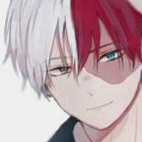 todoroki shouto